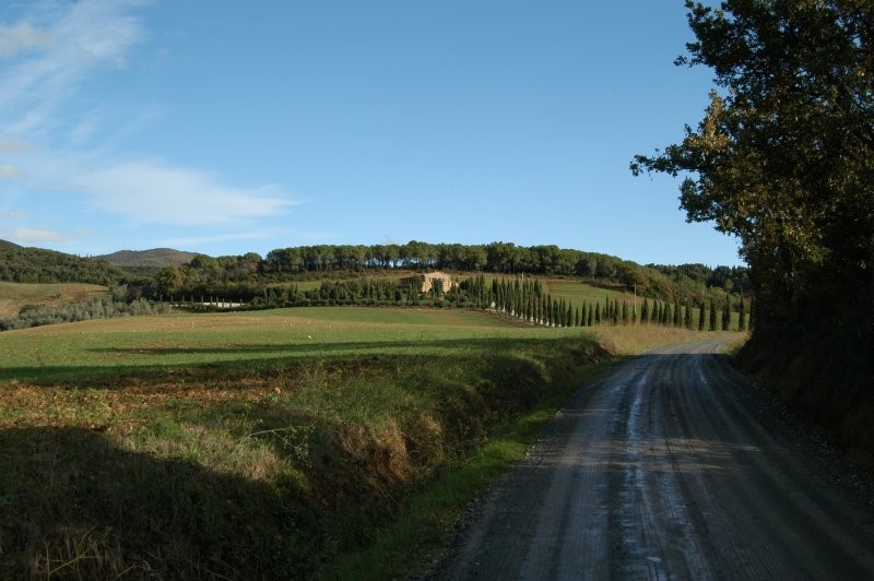 BIBBONA CAMPAGNA